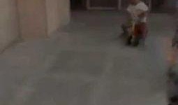 廊坊吃瓜小马达事件视频,一场网络爆红的吃瓜盛宴