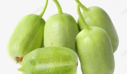 大瓜吃瓜素材视频大全免费观看,大瓜吃瓜素材视频大全，带你领略娱乐盛宴