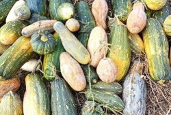 最近15分钟的吃瓜视频,娱乐圈最新热点事件大盘点