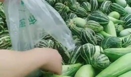 农村吃瓜视频,揭秘乡村生活趣味瞬间