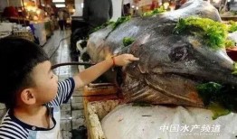 渔民围观吃瓜视频大全集,视频大全集揭秘海上奇闻轶事