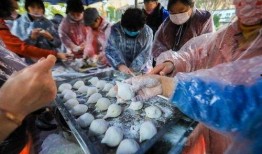 草坝镇吃瓜事件视频,一场引发热议的网络狂欢