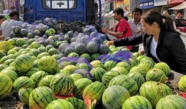 宁夏同心吃瓜视频,一场吃瓜盛宴，见证乡村新风尚