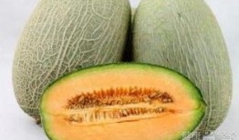 请你吃哈密瓜视频,一场视觉与味觉的双重享受