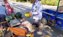 疫情期间群众吃瓜视频,网络舆论场中的社会观察与反思