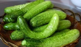 吃瓜视频大全一区