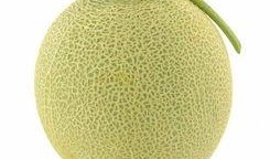 吃哈密瓜能胖嘛女生视频,吃哈密瓜真的会胖吗？女生必看