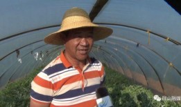 吃瓜群众抢鲜西瓜视频,吃瓜群众抢鲜西瓜视频，夏日清凉一夏