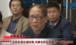 朝阳市吃瓜群众事件视频,网络围观下的社会现象解析