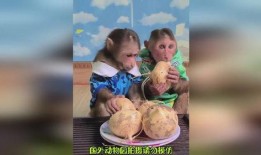 看猴哥吃瓜和小明吃瓜视频,趣味吃瓜大比拼