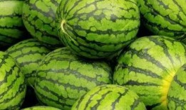 内蒙古网红吃瓜视频大全,趣味横生，笑料百出