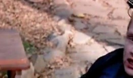 吃瓜招来杀身之祸视频在线观看,揭秘网络暴力背后的杀身之祸