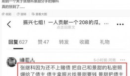 吃大瓜完整版视频播放,一场视觉盛宴的深度解析