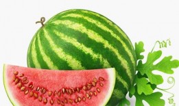 随处都有吃瓜视频素材,随时随地畅享视频素材盛宴