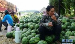 交城县木器厂吃瓜视频,揭秘工厂日常趣事