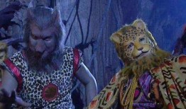 西游记里老汉吃瓜视频