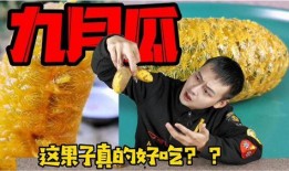 中国人吃九月瓜好吗视频,中国美食中的养生佳品，食用指南揭秘