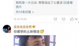 胖哥带你吃阿瓜视频下载