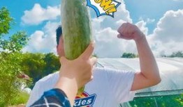 正能量网红吃瓜视频大全,趣味横生，笑料百出