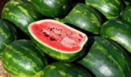 瓜如何吃更更美味一些视频,解锁美味瓜类食用新技巧