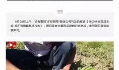 包头吃瓜事件始末视频播放,一场网络热议的始末揭秘