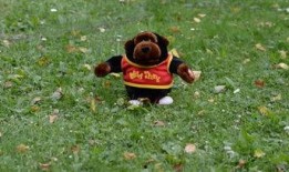 吃瓜横屏搞笑视频素材下载,欢乐无限