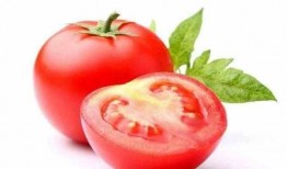 景甜吃瓜视频吃西红柿,西红柿成焦点，甜蜜瞬间引网友热议