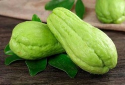 八月瓜可当菜吃吗视频