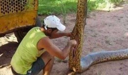 辛安小蛇吃瓜视频播放