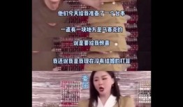 吃瓜结婚视频什么意思,一场别开生面的视频盛宴