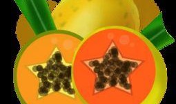 吃瓜神器视频模板免费,轻松解锁海量视频，畅享娱乐盛宴！