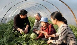 老太吃瓜视频,揭秘网络热点的背后故事