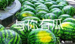 徐州二哥吃瓜视频大全,揭秘网络热点背后的故事