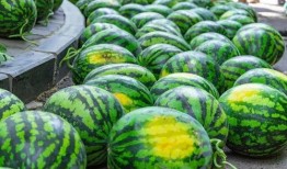 师范大学吃瓜视频比赛