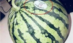 网红吃瓜视频,揭秘娱乐圈幕后真相