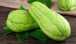 刺瓜菜怎么吃才好吃视频,视频教你家常烹饪技巧