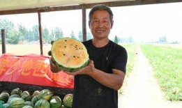 潍坊近期吃瓜事件视频