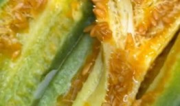 黄结瓜怎么吃最好吃视频,视频教你如何烹饪最佳口感