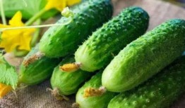 吃瓜视频配五官的,五官搭配的艺术盛宴